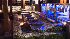 湘南Resort Spa 竜泉寺の湯 湘南茅ヶ崎