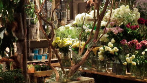 SHONAN T-SITE_Buriki no Zyoro