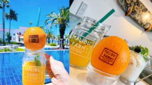 マリブファーム_7