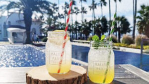 マリブファーム_6