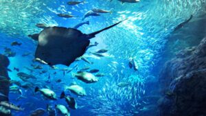 新江ノ島水族館