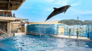 新江ノ島水族館