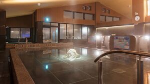 湘南Resort Spa 竜泉寺の湯 湘南茅ヶ崎_3