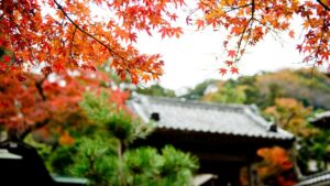 湘南ニュース_1_建長寺_1280×720