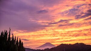 湘南ニュース_2_大磯プリンスホテル焚き火_1280×720