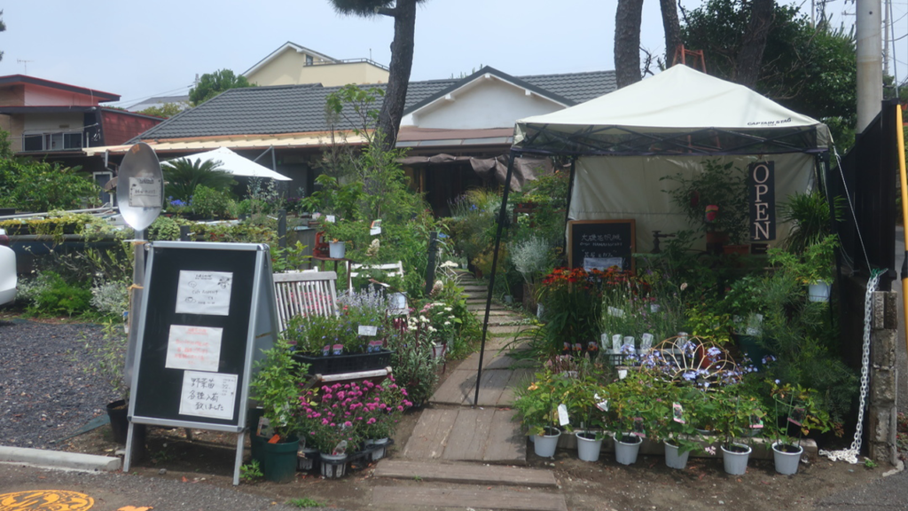 Flower&Cafe 大磯花帆槻_1
