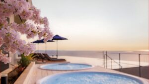 湘南ニュース_2_OISO-桜咲く季-2026_1280×720