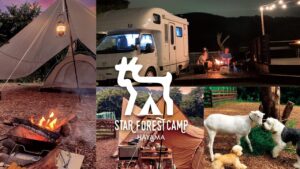 葉山サウナ施設_スターフォレストキャンプ葉山