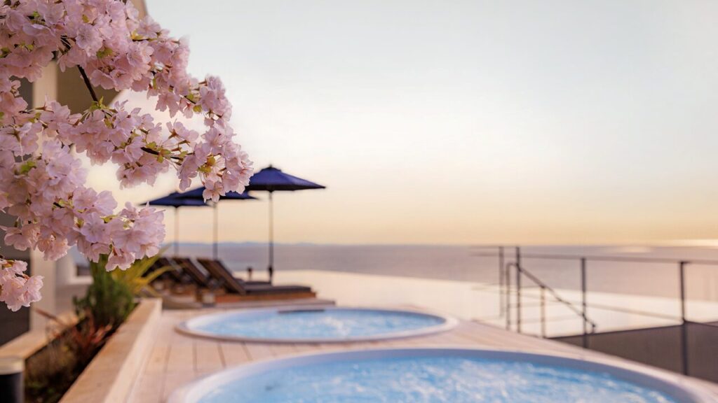 湘南ニュース_10_OISO-桜咲く季-2026_1280×720