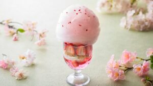 湘南ニュース_4_OISO-桜咲く季-2026_1280×720