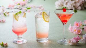 湘南ニュース_5_OISO-桜咲く季-2026_1280×720