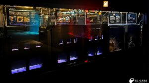 湘南ニュース_1_新江ノ島水族館_1280×720