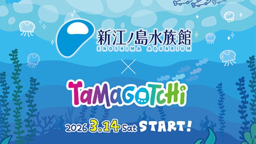 湘南ニュース_1_新江ノ島水族館_たまごっちコラボ_1280×720
