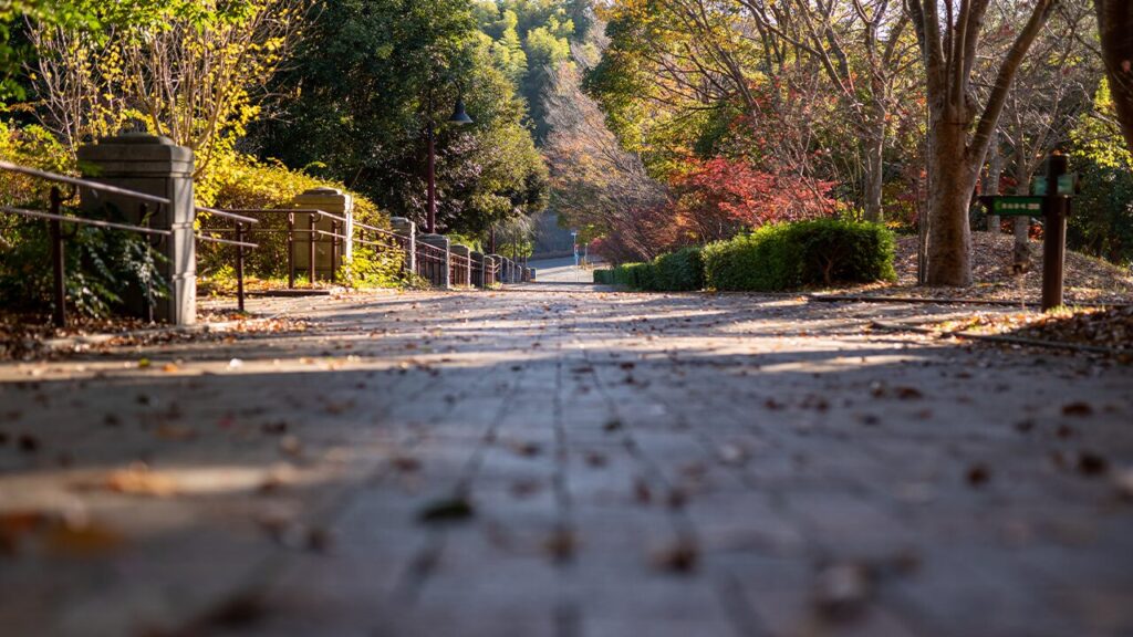 茅ヶ崎里山公園|茅ヶ崎市