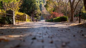 茅ヶ崎里山公園｜茅ヶ崎市