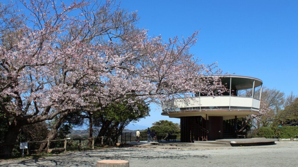 披露山公園|逗子市・葉山町