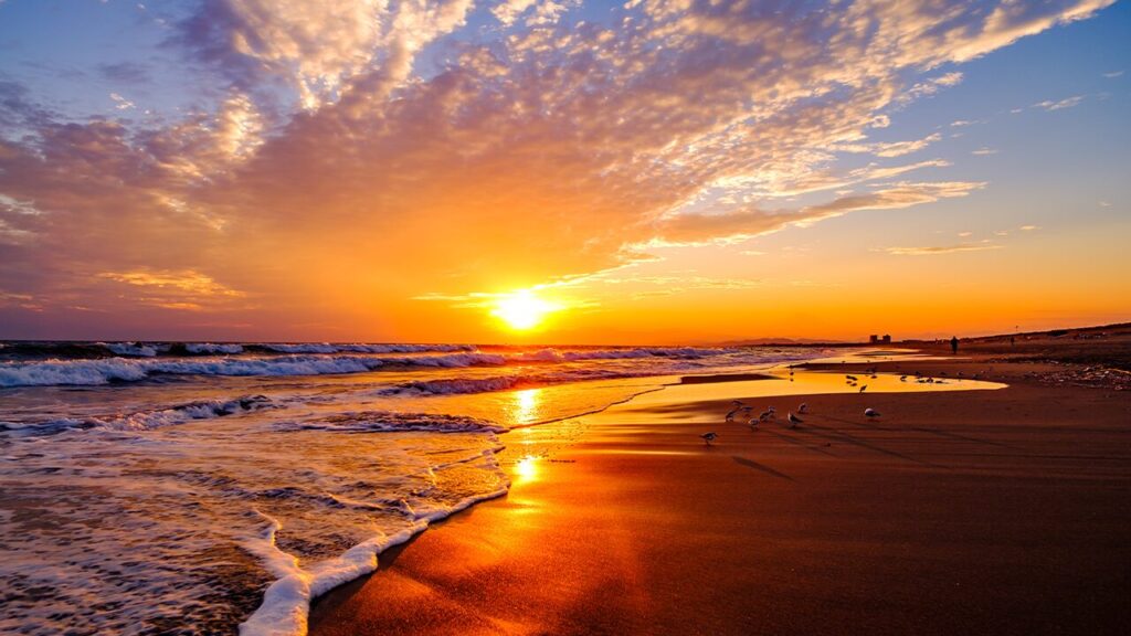 恋の通訳できますか？聖地巡礼スポット_7