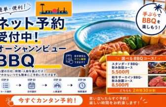 ルアナハレネット予約