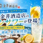 江ノ島西浜海の家ルアナハレ_金井酒造店_レモンサワータイアップ