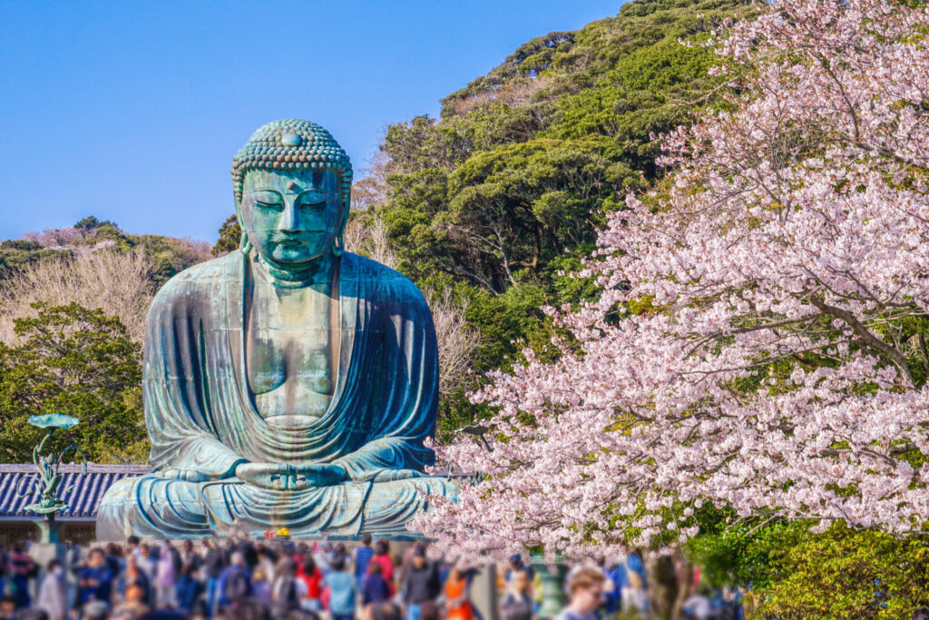 鎌倉の大仏と満開の桜