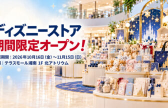 terrace-mall-shonan-disney-store-japan-tour